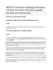 Bsc2011l Topic13 Lab Report Template 1 Docx BSC 2011L Principles Of