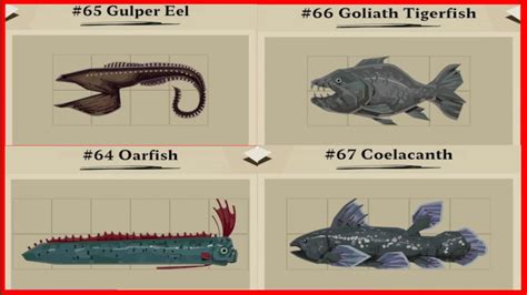 Dredge Rare Fish Locations Oarfish Gulper Eel Coelacanth Goliath