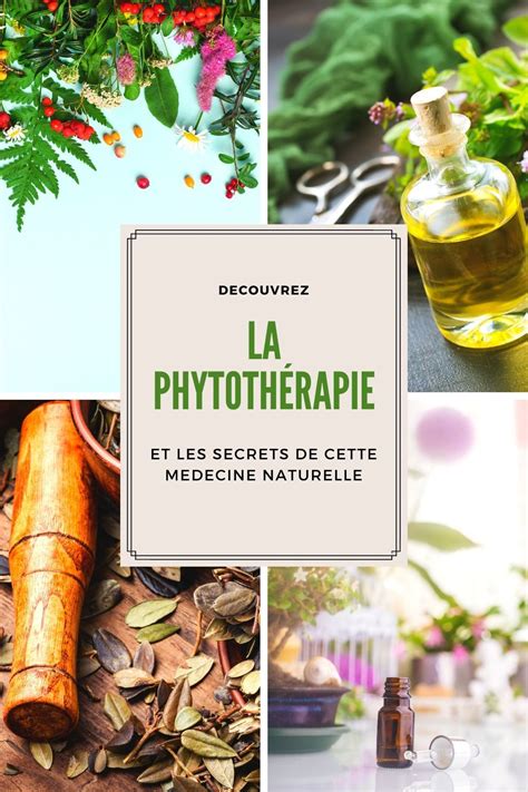 La phytothérapie les secrets de cette médecine naturelle