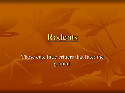 Ppt Rodents Powerpoint Presentation Free Download Id4033149