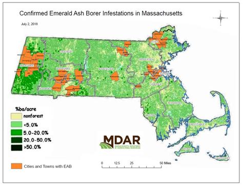 Massachusetts Introduced Pests Outreach Blog Blog Archive Eab In