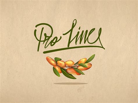 pro   georgi dimitrov erase  dribbble