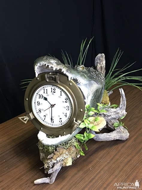 Alligator Taxidermy | AfricaHunting.com