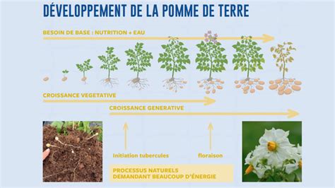 Stress Pour Les Plantes Syngenta Belgie