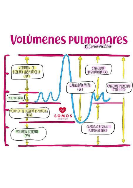 Res Menes De Vol Menes Pulmonares Descarga Apuntes De Vol Menes