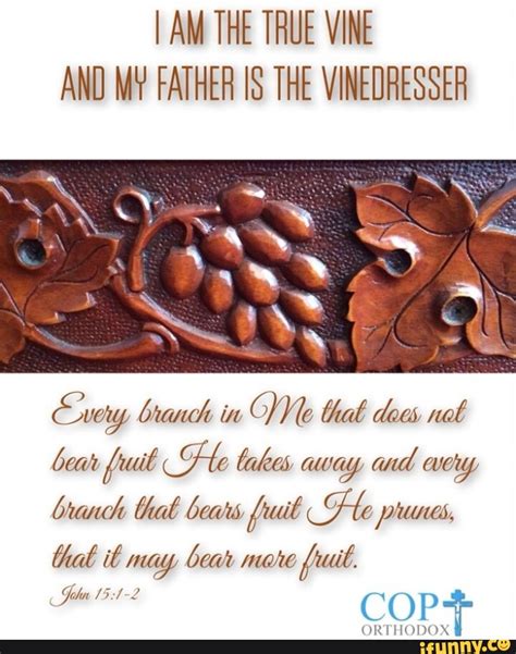 I Am The True Vine And My Father Is The Vinedresser Branch In Ve That