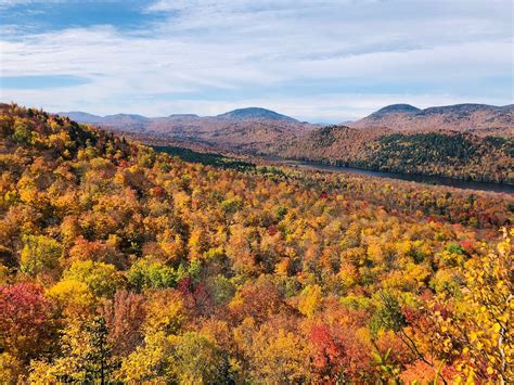 New Jersey Fall Foliage Map 2021 Dario Hirsch