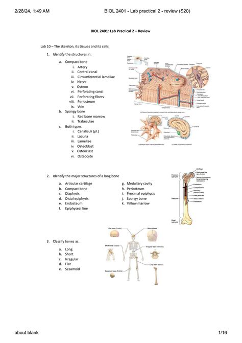 Solution Biol Lab Practical Review Studypool