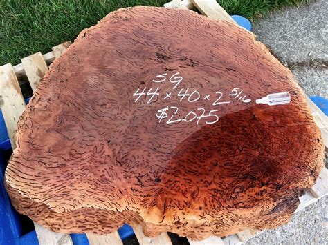 Large Burl Slabs