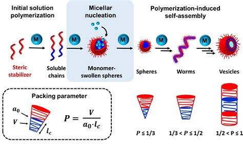 Figure 1 From Recent Advances In PolymerizationInduced SelfAssembly