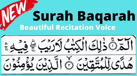 Surah Baqarah Beautiful Recitation Voice Surah Baqarah Quran Tilawat