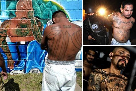 Inside MS-13 - the most dangerous gang in America - which boasts 10,000 ...