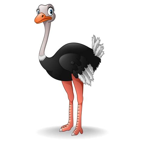 Cute Ostrich Cartoon 12189807 Vector Art At Vecteezy