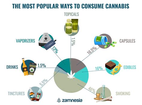 Todos Los Métodos De Consumo De Cannabis Que Te Puedas Imaginar Zamnesia