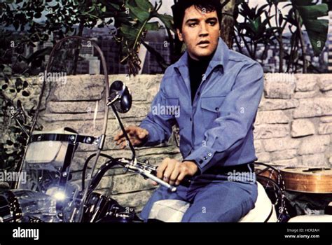 Clambake Elvis Presley Stock Photo Alamy