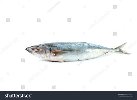Pindang Fish Salted Fish Isolated On Stock Photo 1605521203 | Shutterstock