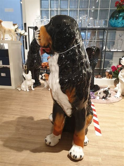 Berner Sennenhund Porzellanfigur Cm Neu Kaufen Auf Ricardo