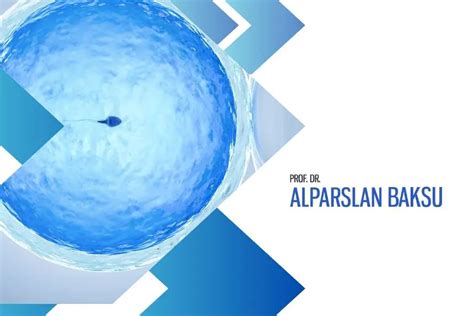 Embryo Transfer Process In Ivf Treatment Prof Dr Alparslan Baksu