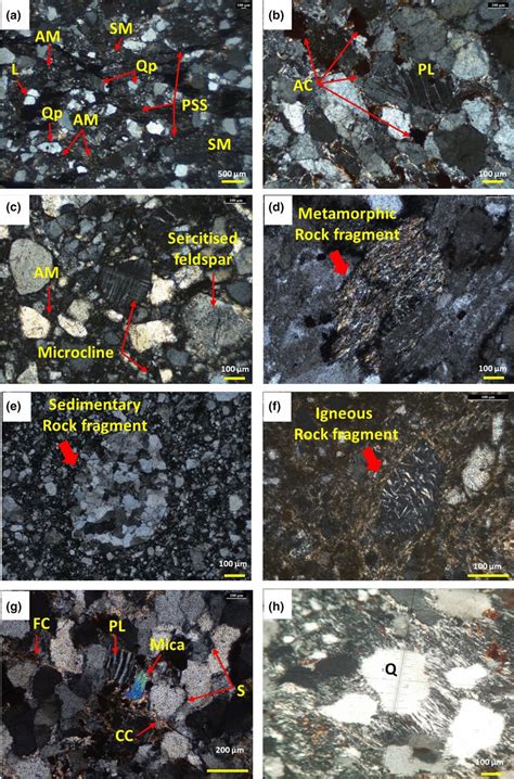 Photomicrographs Of Sandstones A Sandstones Exhibiting Argillaceous