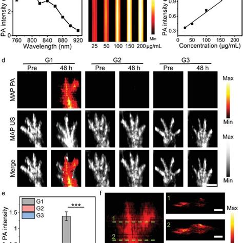 In Vivo Pa Imaging Of Facfnps In Cia Mouse Model A Pa Spectrum