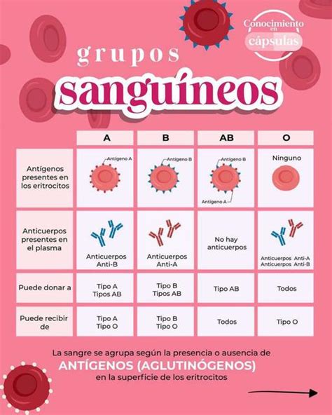 Grupos Sanguíneos YUDOC ORG uDocz