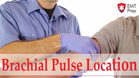 Brachial Pulse Point