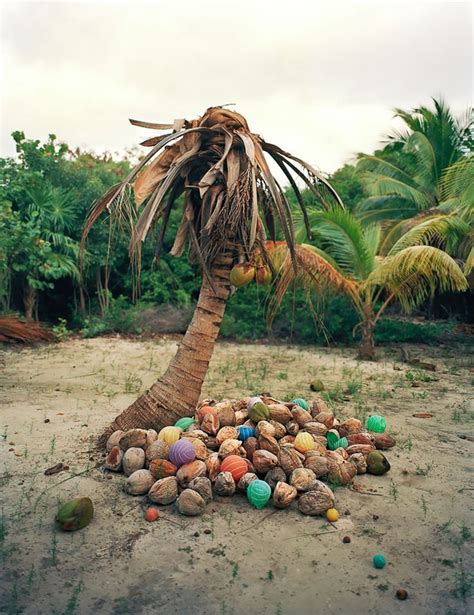 Artist Creates Art From Trash That Constantly Washes Up In Mexico From