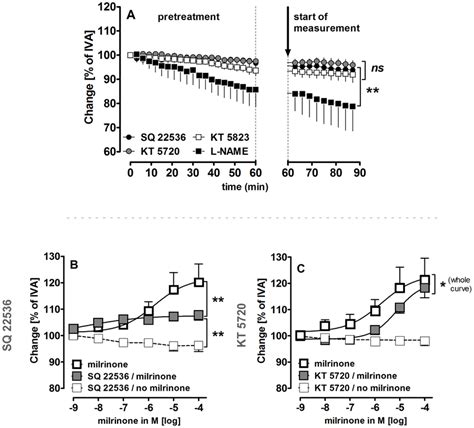 Influence Of Milrinone On Camppka Signaling In Naïve Pvs A • Sq