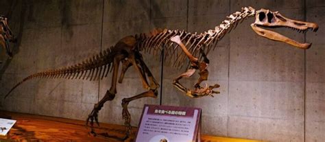 10 Interesting Baryonyx Facts - JellyQuest