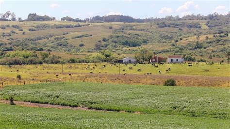 Pampa o bioma do Rio Grande do Sul Ministério do Turismo