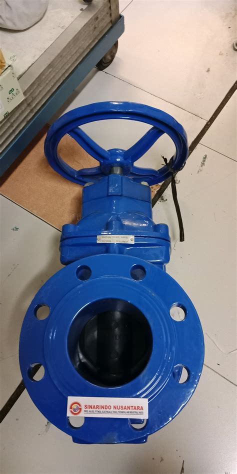 Jual Gate Valve Pn Dn Cast Iron Di Lapak Sinarindo Nusantara Kiky