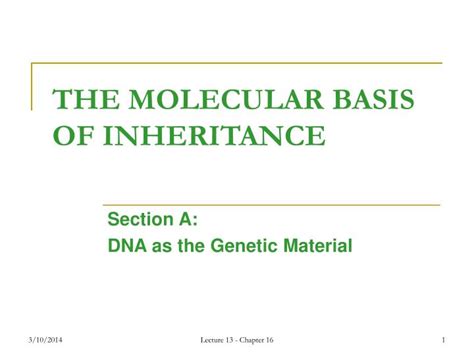 Ppt The Molecular Basis Of Inheritance Powerpoint Presentation Free Download Id118421