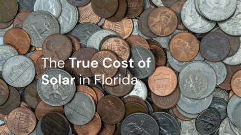 The True Cost of Solar in Florida - Goldin Solar, LLC