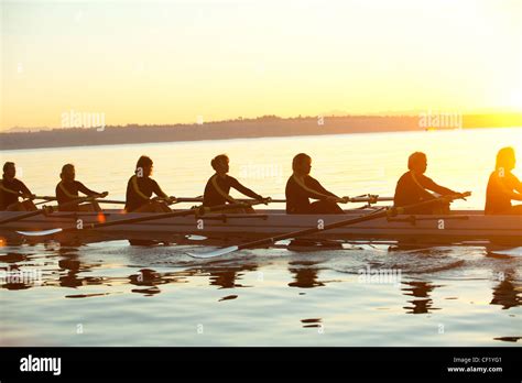 Rowing Teamwork Exercise Coordination Hi Res Stock Photography And