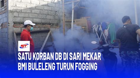 Puluhan Rumah Di Desa Sari Mekar Di Fogging BMI Buleleng YouTube