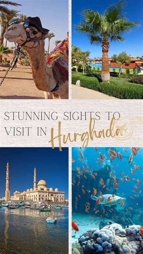 52 Best Epic Things To Do In Hurghada 2024 Narcisa Rusu Artofit