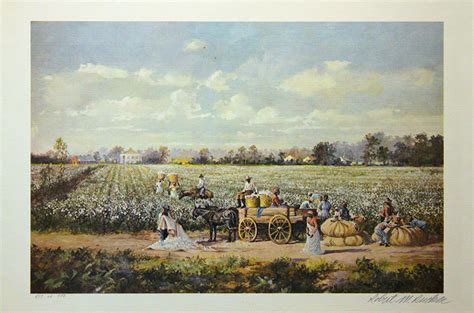 Working The Cotton Field Plantation