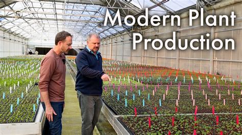 Tour Of An Amazing Tissue Culture Plant Nursery YouTube