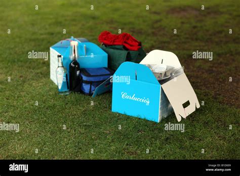 Picnic hamper,blanket,cool box & Umbrella, at a picnic Stock Photo - Alamy