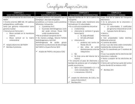 Complejos Respiratorios Studymed Jm Udocz