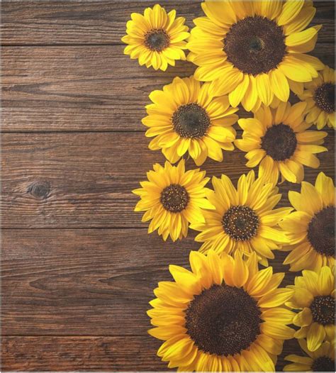 Amazon Naanle Dishwasher Magnet Cover Vintage Wooden Sunflower