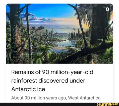 Remains Of Million Year Old Rainforest Discovered Under Antarctic