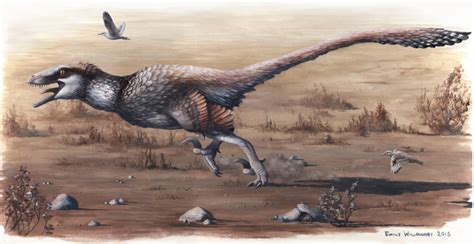 Newly Described Dakotaraptor A Giant Raptor From The Hell Creek