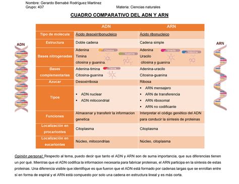 Cuadro Comparativo Entre Adn Y Arn Cuadro Comparativo Images Images Images