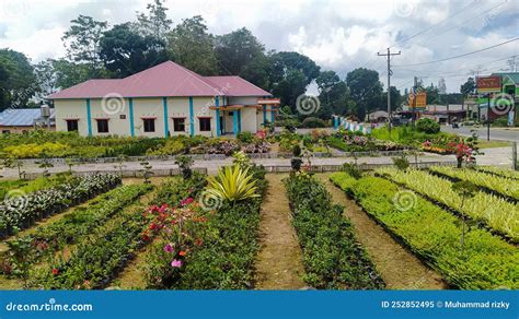 Kebun Bunga Yang Luas Di Berastagi Sumatera Utara Indonesia Um Grande