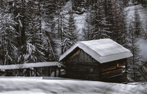 Banco de imagens neve inverno árvore Cabana de madeira casa Casa