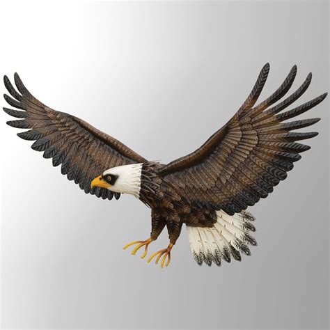 Bald Eagle In Flight Indoor Outdoor Metal Wall Art