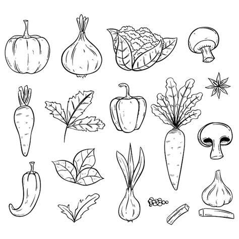 Doodle Ilustración De Verduras Frescas Alimentos Orgánicos Vector Premium