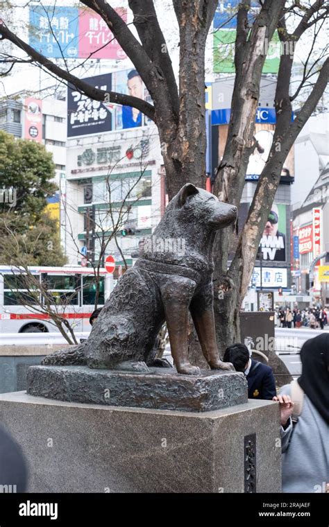 Hachiko statue at Shibuya Station, Tokyo Stock Photo - Alamy