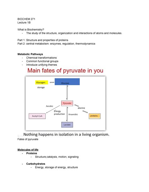 Bio Chem I Lec 1 3 Proteins Amino Acids Etc BIOCHEM 271 Lecture